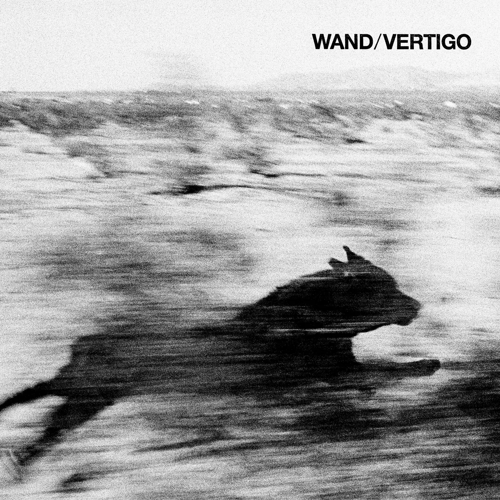 Wand Returns with Experimental Brilliance on New Album ‘Vertigo‘